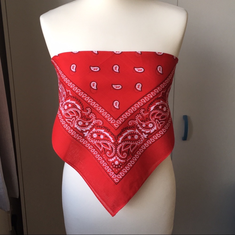 90’s vintage bandanna print cropped top
